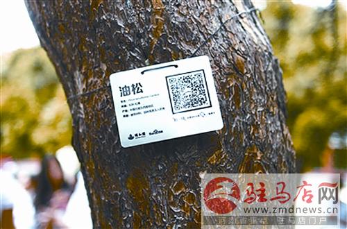 daih140837.jpg