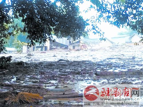 zhangxj140739.jpg