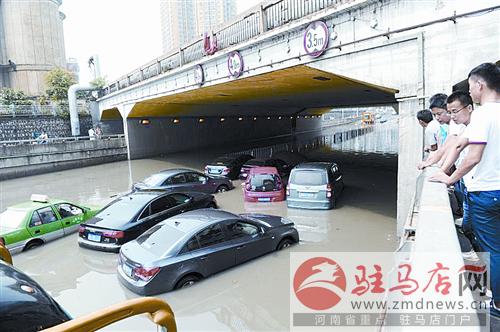 zhangxj140745.jpg
