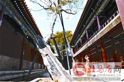 daih140823.jpg