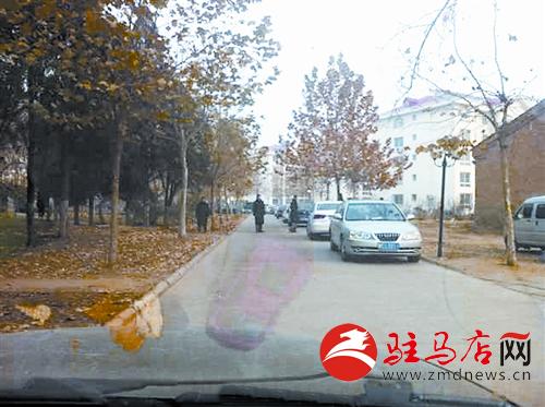 yangf1411100.jpg