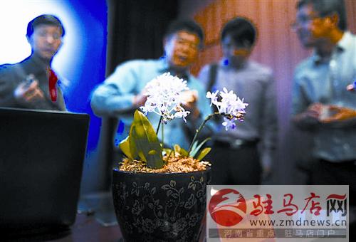 zhangxj141154.jpg