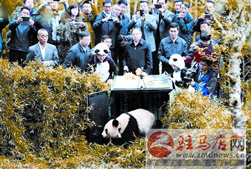 zhangxj14105.jpg