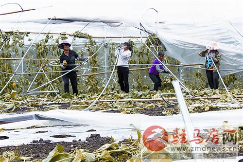 yuanzh140933.jpg