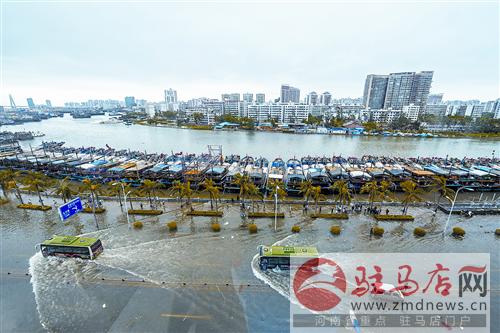yuanzh140934.jpg