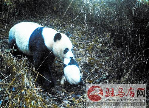 zhangxj14126.jpg