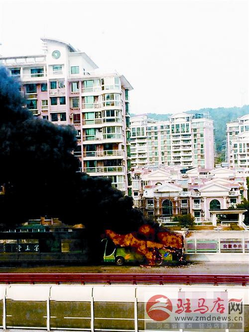 yangf141267.jpg