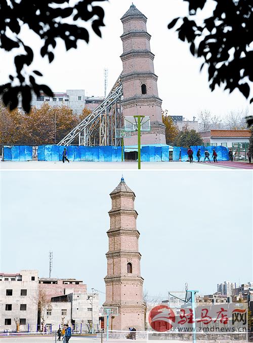 daih141277.jpg