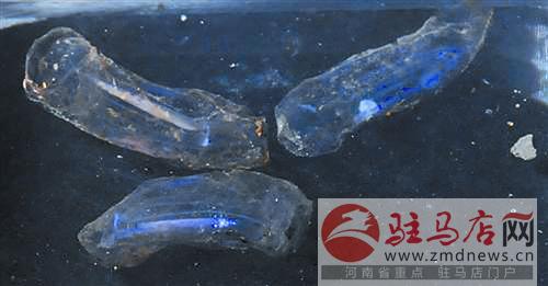 zhangxj150123.jpg