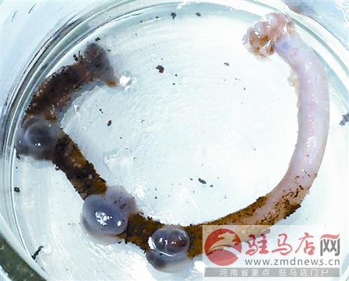 zhangxj150124.jpg