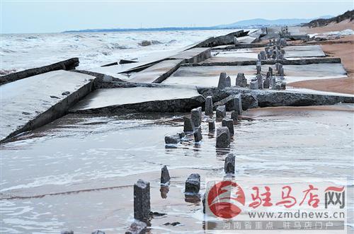 zhangxj150128.jpg