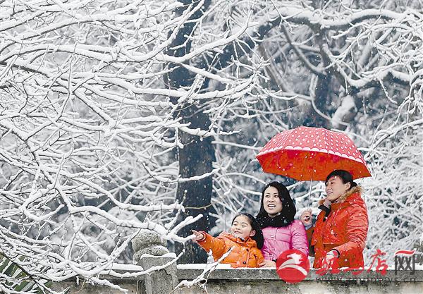 zhangz1501133.jpg
