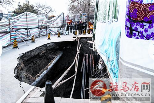 yangf1501105.jpg