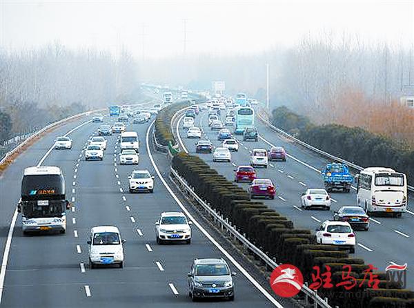 yangf150233.jpg
