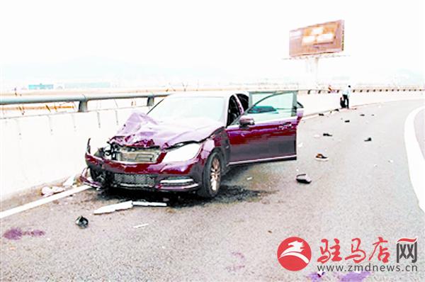 yangf150332.jpg