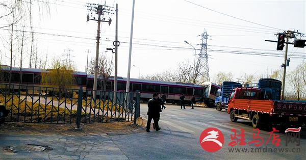 zhangz1503280.jpg