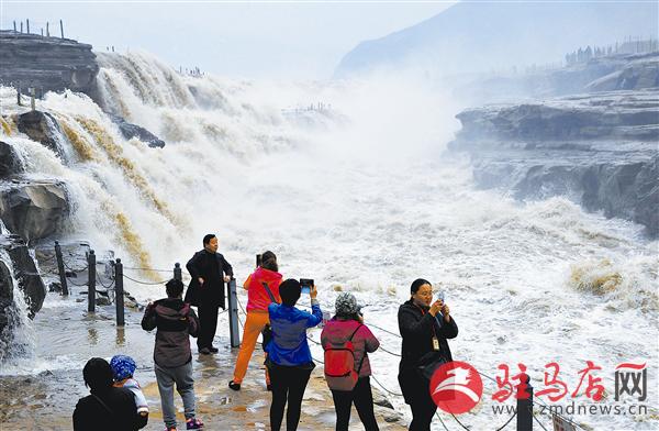 zhangz1503279.jpg
