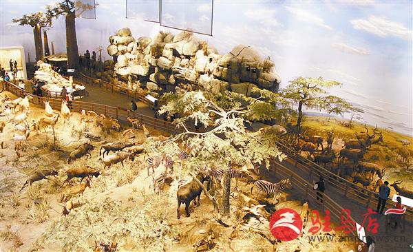 zhangz1504264.jpg