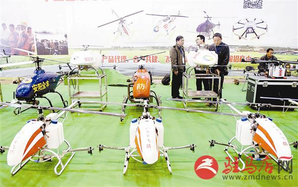 zhangz1504305.jpg