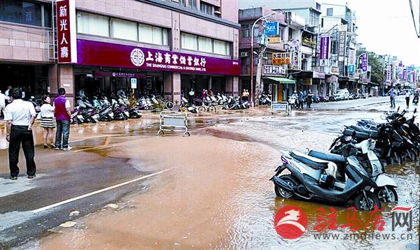 yangf150445.jpg