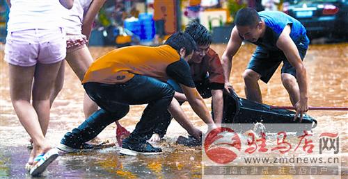 zhangxj1505331.jpg