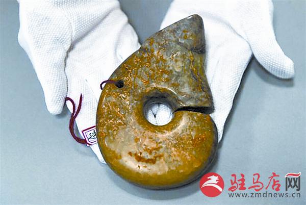 yangf150557.jpg