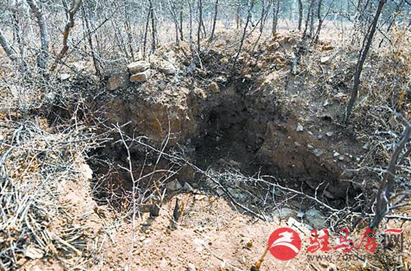 yangf150555.jpg
