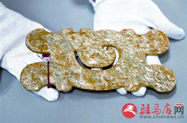 yangf150558.jpg