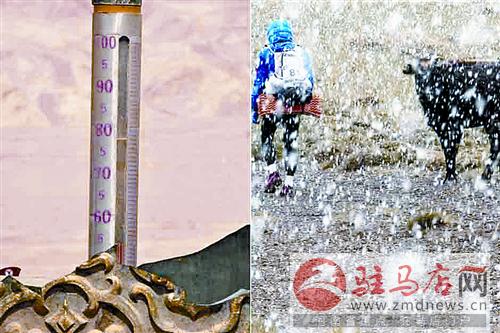 zhangxj15063.jpg