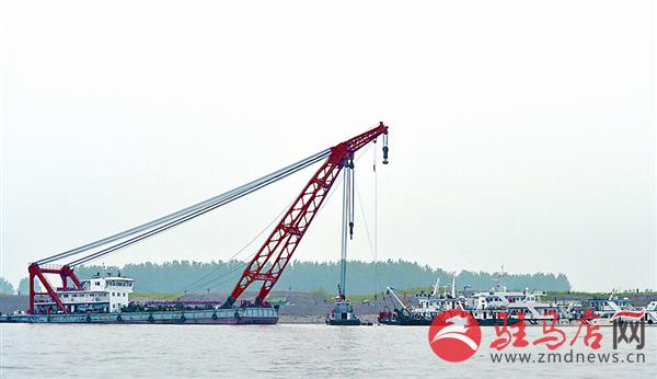 yangf150691.jpg