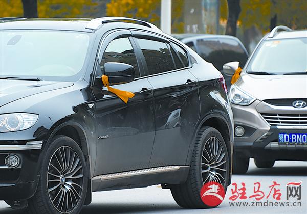 yangf150613.jpg
