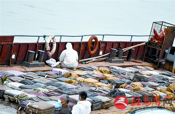 yangf150616.jpg