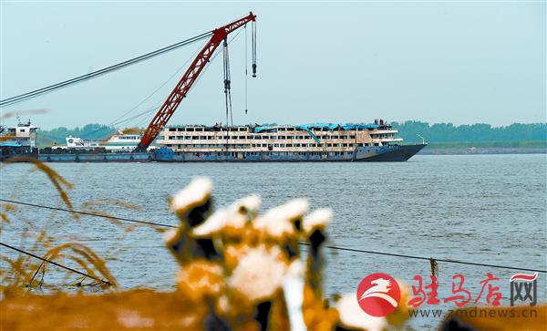 yangf150634.jpg