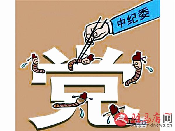 yangf150641.jpg