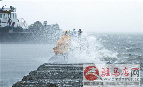 zhangxj15074.jpg