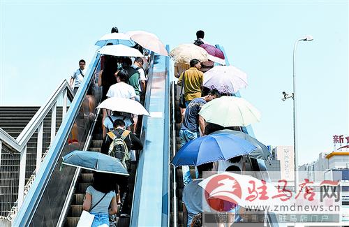 yangf150721.jpg
