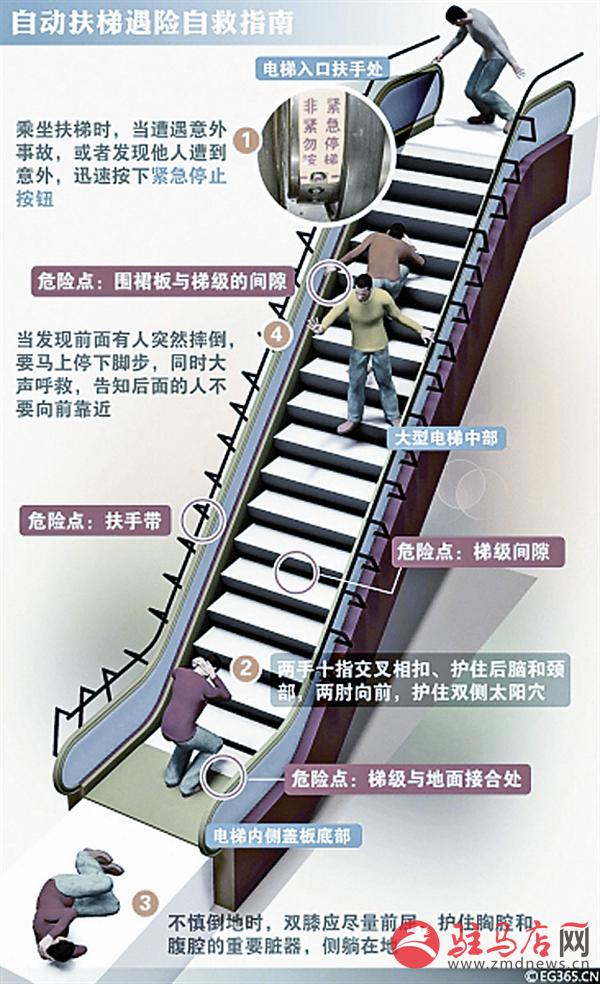 yangf150746.jpg