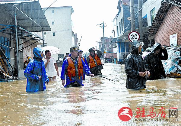 yangf150833.jpg