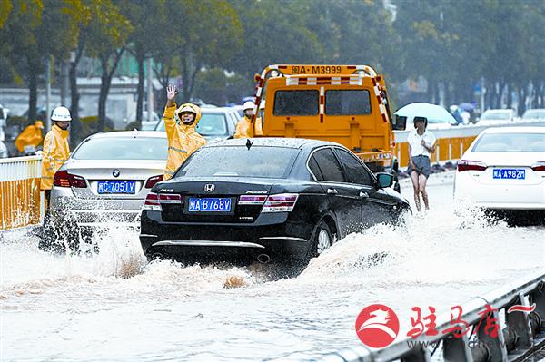 yangf150834.jpg