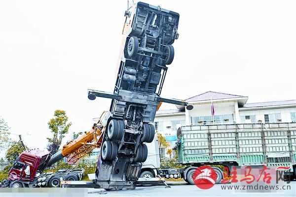 zhangxj1508261.jpg