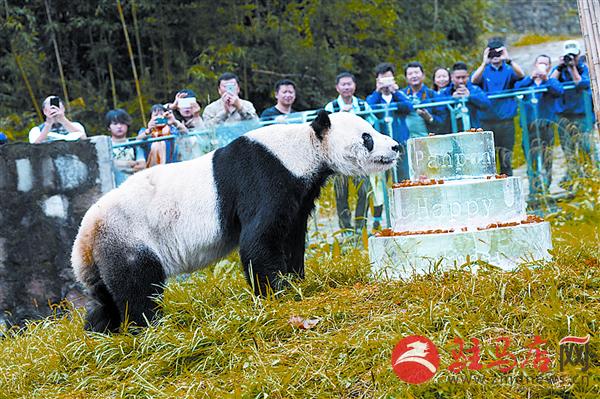 zhangxj150938.jpg
