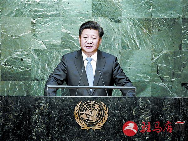 yangf1509147.jpg