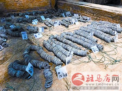 zhangxj1511141.jpg