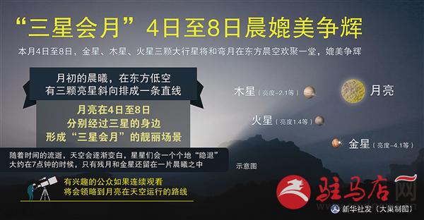 wub151270.jpg