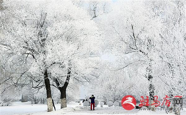 guols151230.jpg