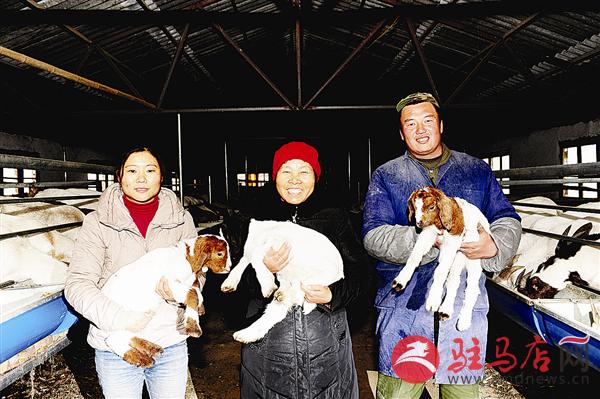 guols1512303.jpg