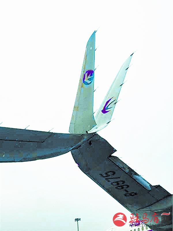 zhangxj160169.jpg