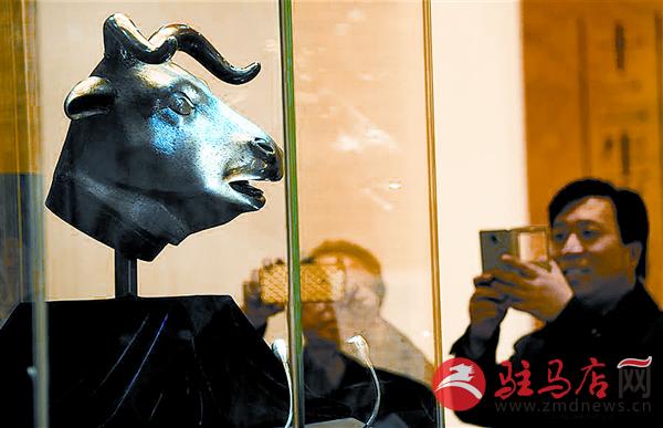 yangf160258.jpg
