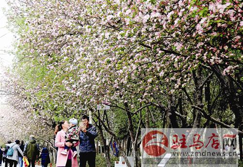 guols1603292.jpg