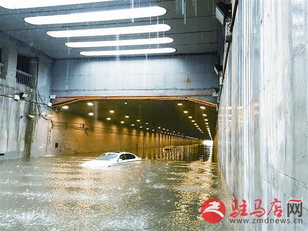 yangf160760.jpg